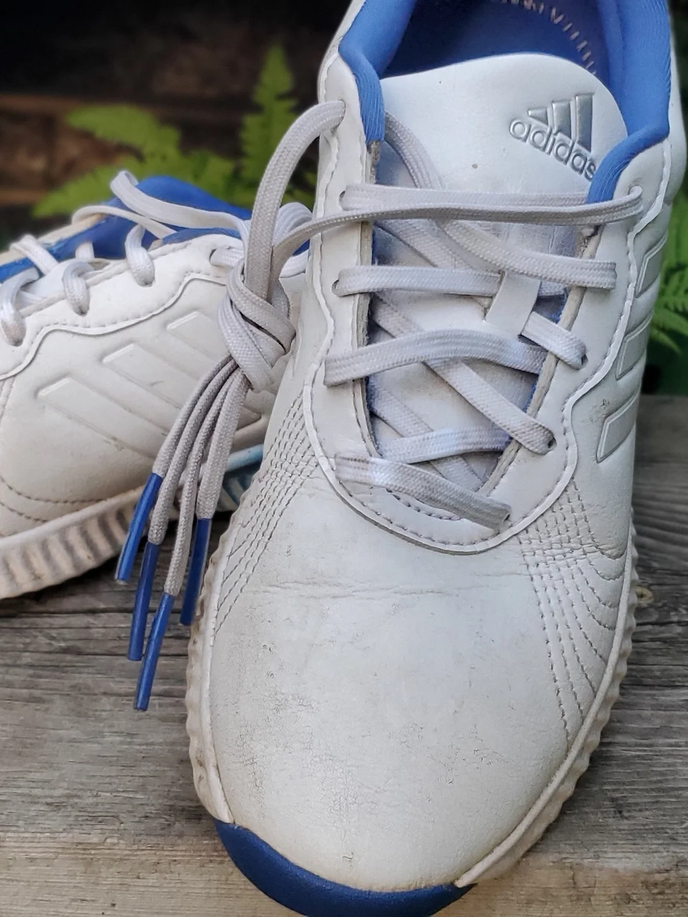 Adidas Kids Golf Shoe White and Royal Blue Lace-Up size 6
